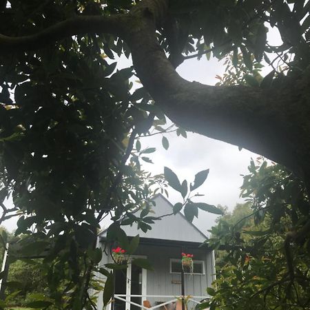 Paradise Grove Whangamata Bagian luar foto