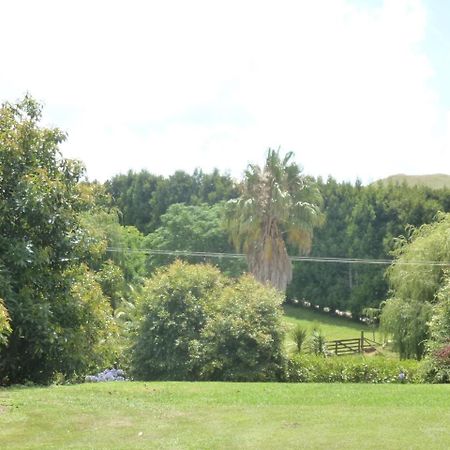 Paradise Grove Whangamata Bagian luar foto