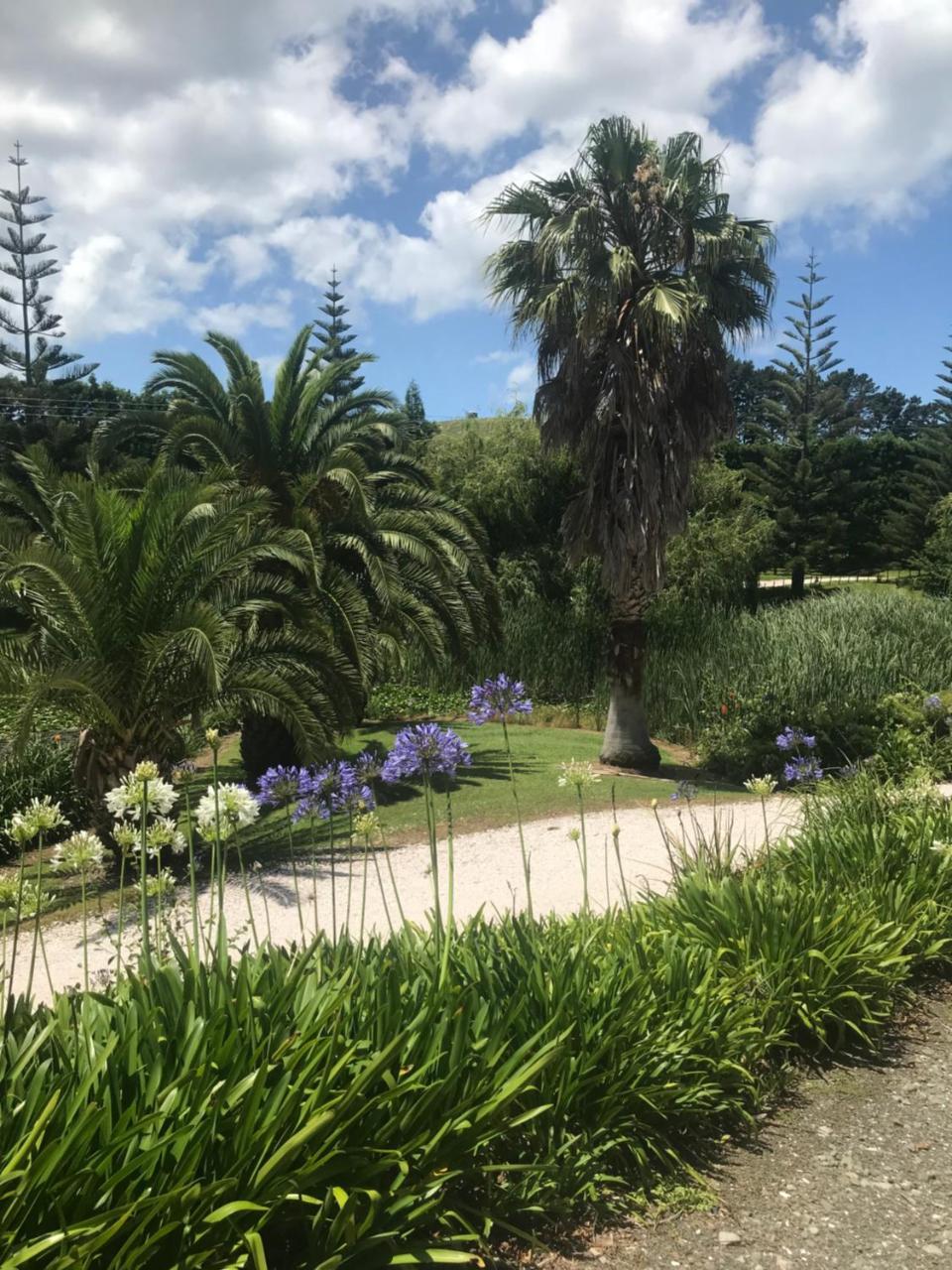 Paradise Grove Whangamata Bagian luar foto