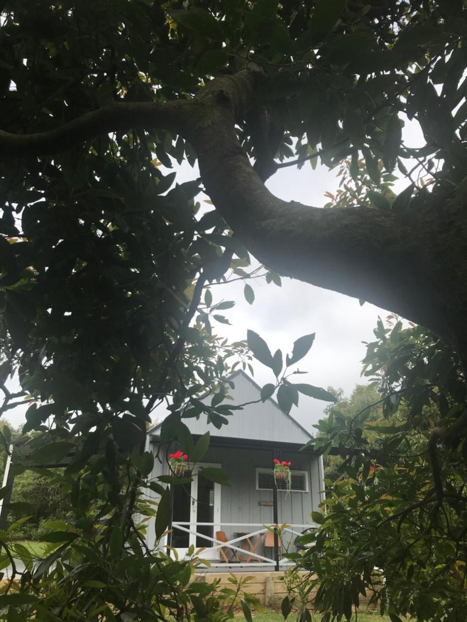 Paradise Grove Whangamata Bagian luar foto