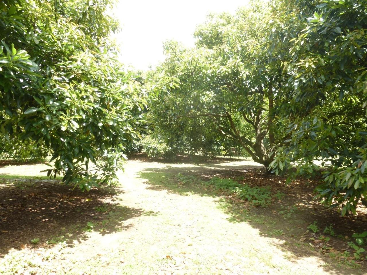 Paradise Grove Whangamata Bagian luar foto